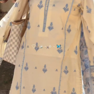 Graceful Blue Print Kurti